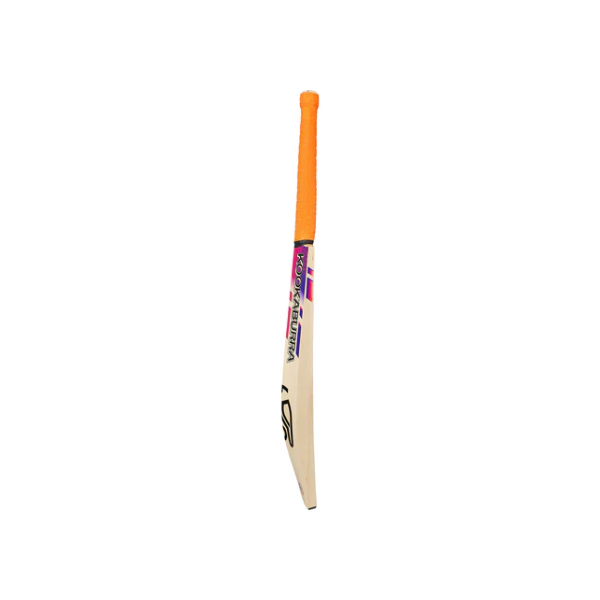 KOOKABURRA AURA PRO 4.0 SENIOR CRICKET BAT SH - Image 3