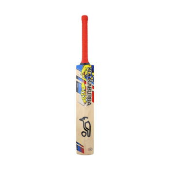 KOOKABURRA BEAST 6.0 SENIOR CRICKET BAT SH