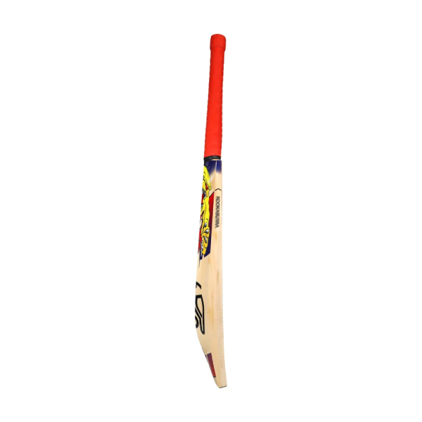 KOOKABURRA BEAST 7.0 JUNIOR CRICKET BAT - Image 3