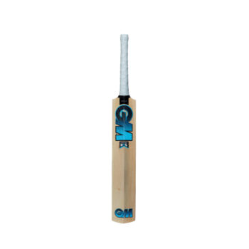GM DIAMOND 101 KASHMIR WILLOW CRICKET BAT