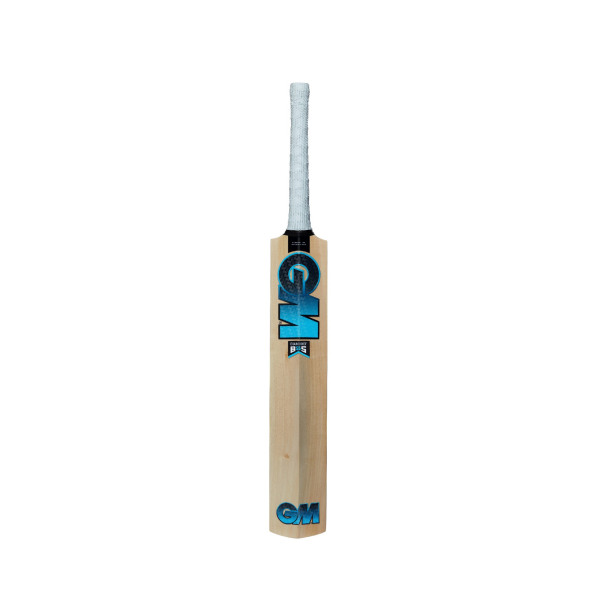 GM DIAMOND 101 KASHMIR WILLOW CRICKET BAT