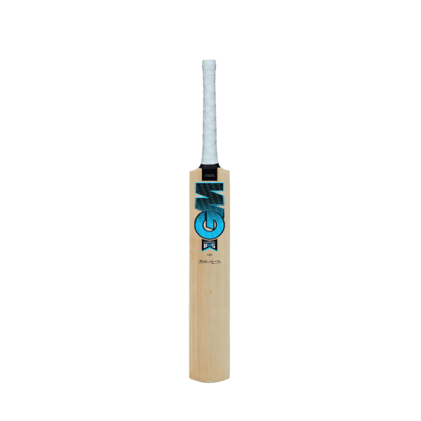 GM DIAMOND 101 KASHMIR WILLOW CRICKET BAT - Image 2