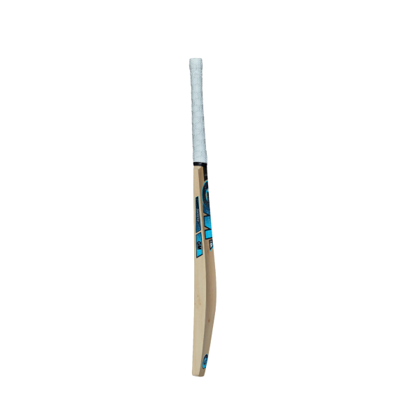 GM DIAMOND 101 KASHMIR WILLOW CRICKET BAT - Image 3