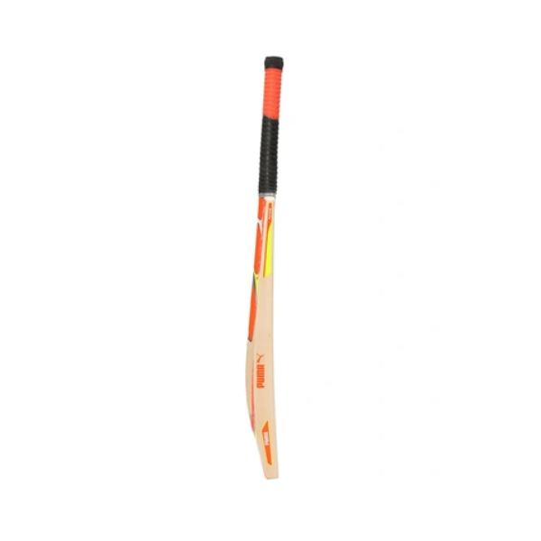 PUMA FUTURE KASHMIR JUNIOR CRICKET BAT H - Image 3