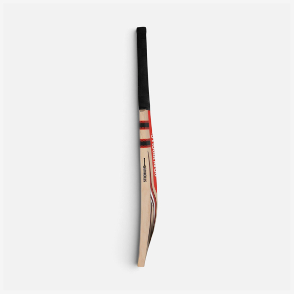 GRAY-NICOLLS ALFA CRICKET BAT - Image 3